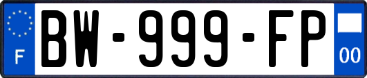 BW-999-FP
