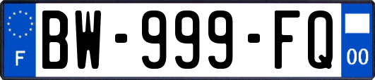 BW-999-FQ