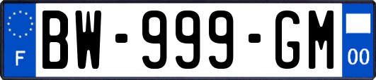 BW-999-GM