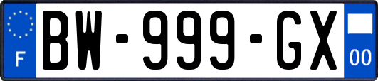 BW-999-GX