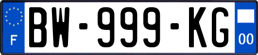 BW-999-KG