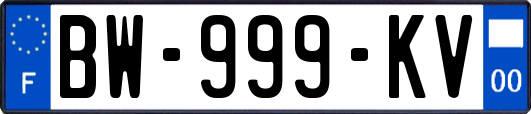 BW-999-KV