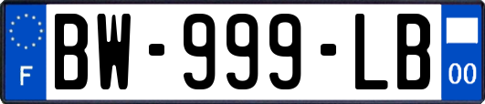 BW-999-LB