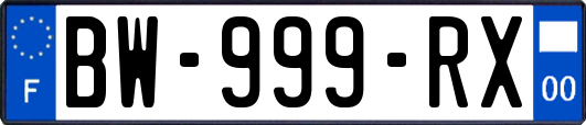 BW-999-RX