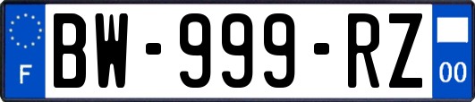 BW-999-RZ