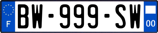 BW-999-SW