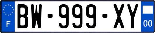 BW-999-XY