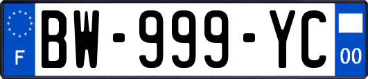 BW-999-YC