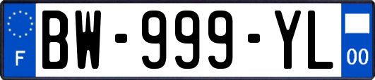 BW-999-YL