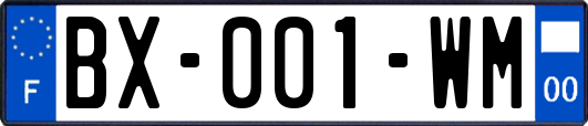 BX-001-WM