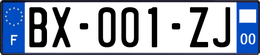 BX-001-ZJ