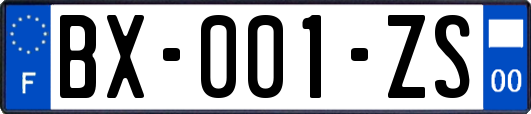BX-001-ZS