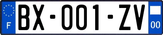 BX-001-ZV