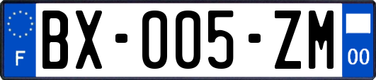 BX-005-ZM