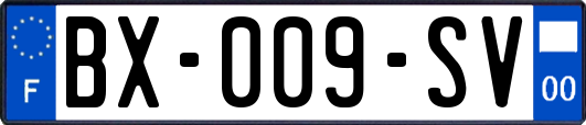 BX-009-SV