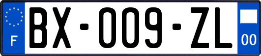 BX-009-ZL