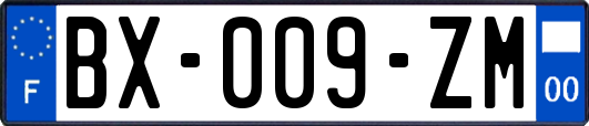 BX-009-ZM