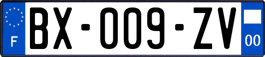 BX-009-ZV