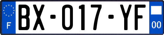 BX-017-YF