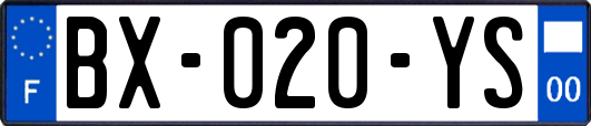 BX-020-YS