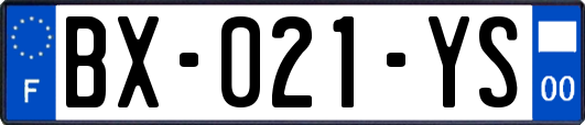 BX-021-YS