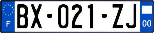 BX-021-ZJ