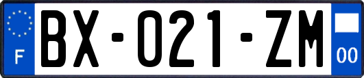 BX-021-ZM