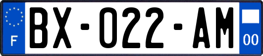 BX-022-AM