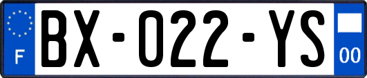 BX-022-YS