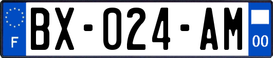 BX-024-AM