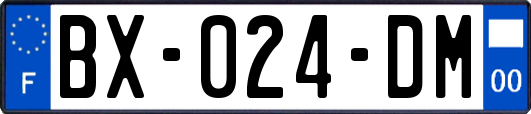 BX-024-DM