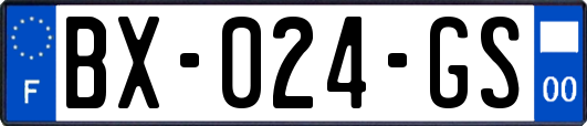 BX-024-GS