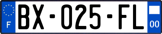 BX-025-FL