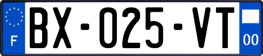 BX-025-VT