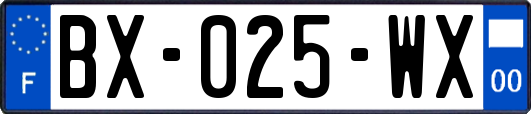 BX-025-WX