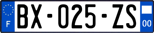 BX-025-ZS
