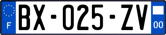 BX-025-ZV