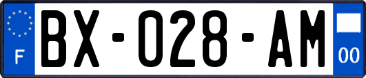 BX-028-AM