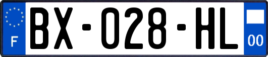 BX-028-HL