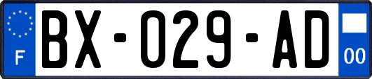 BX-029-AD