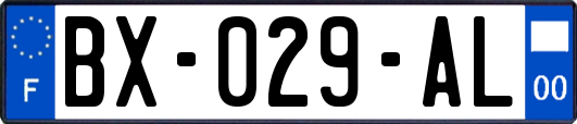 BX-029-AL