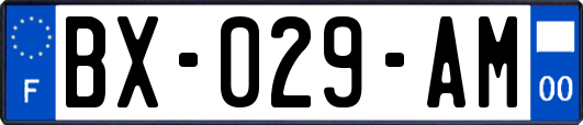 BX-029-AM