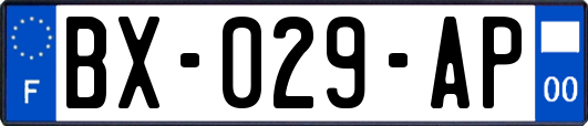 BX-029-AP