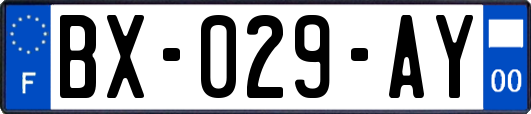 BX-029-AY