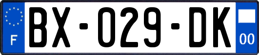 BX-029-DK