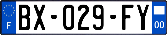 BX-029-FY