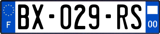 BX-029-RS