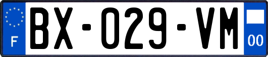 BX-029-VM