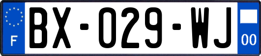 BX-029-WJ