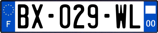 BX-029-WL